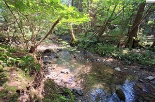 Grundstück zu kaufen in 5310 Mondsee, Rarität! Einzigartiges Grundstück in der Mondseelandregion