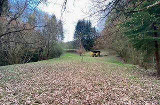  in Mitteraich, 8600 Bruck an der Mur, Schrebergarten mit Wiese und Gerätschuppen