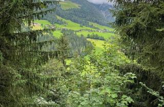 Immobilie kaufen in 6235 Reith im Alpbachtal, WALD - Bereich Reith im Alpbachtal & Alpbach