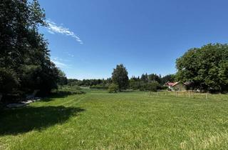 Grundstück zu kaufen in 5111 Bürmoos, Großzügiges Grundstück in Seenähe