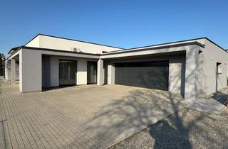 Haus kaufen in 2230 Gänserndorf, Exklusiver Bungalow mit luxeriösen Details wird provisionsfrei privat verkauft