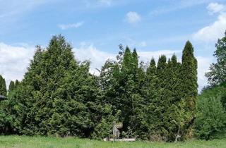 Grundstück zu kaufen in 9232 Sankt Martin, K3 - Baugrundstück mit Wald in Rosegg