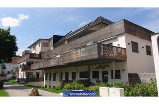 Wohnung kaufen in 4452 Ternberg, Traumhafte vermietete Eigentumswohnungen in Ternberg - Eigennutzung schnell möglich