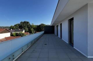 Wohnung mieten in Hauptstraße 20/Top 12, 4707 Schlüßlberg, 3 Zimmer Dachterrassenwohnung - 85m² - mit 71,51 m² großer Terrasse - Tiefgarage - Schlüßlberg Hauptstraße 20 - Top 12