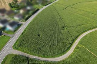 Grundstück zu kaufen in 8421 Breitenfeld am Tannenriegel, 7476m² Betriebsbaugrund für Ihre Vision!