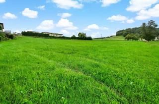 Grundstück zu kaufen in 5251 Höhnhart, Ihr Platz für ein Traumhaus. - Naturnahes Wohnbau-Grundstück zwischen Mattighofen und Ried.