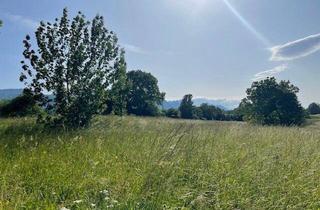 Grundstück zu kaufen in Feistritz Im Rosental, 9181 Feistritz im Rosental, Großzügiges Grundstück im Rosental!