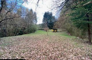  in Mitteraich, 8600 Bruck an der Mur, Schrebergarten mit Wiese und Gerätschuppen