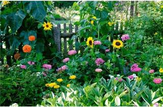 Grundstück zu kaufen in Imst, 6464 Tarrenz, Großzügige Liegenschaft mit attraktiver Widmung, zur Sanierung oder Neubebauung, in zentraler Lage