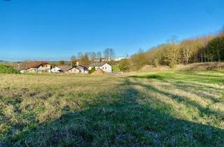 Grundstück zu kaufen in Wels + Grieskirchen, 4631 Haiding, TOP ! Traumhafter Baugrund in Krenglbach in Ruhelage !