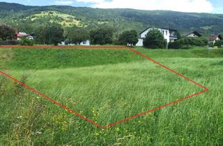 Grundstück zu kaufen in Gmünd In Kärnten, 9854 Malta, Baugrund in sonniger Aussichtslage nahe Ortskern