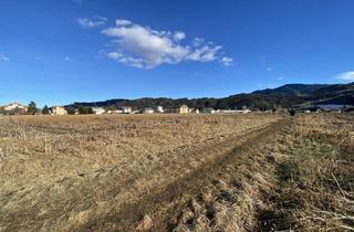 Grundstück zu kaufen in 8720 Apfelberg, Attraktives Bauträger-Grundstück: 7.425 m² in begehrter Lage in Apfelberg!