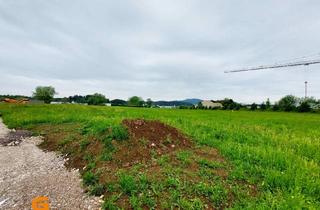 in 5202 Neumarkt am Wallersee, Baurecht: Gewerbegrund in Neumarkt