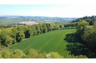 Grundstück zu kaufen in 4076 Sankt Marienkirchen an der Polsenz, Acker mit 1,4ha in St. Marienkirchen a.d.Polsenz