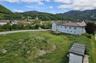 Grundstück zu kaufen in 4452 Ternberg, Bauträger aufgepasst - TOP Baugrundstück im Zentrum von Ternberg - großvolumiger Wohnbau möglich
