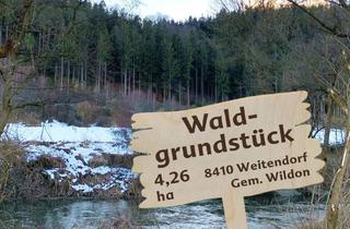 Grundstück zu kaufen in Flughafen Graz, 8410 Weitendorf, Waldgrundstück (4,26 ha) in Weitendorf zu verkaufen