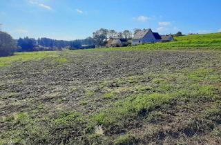 Grundstück zu kaufen in 8412 Allerheiligen bei Wildon, Schönes, sonniges Bauträger-Grundstück in Allerheiligen bei Wildon.