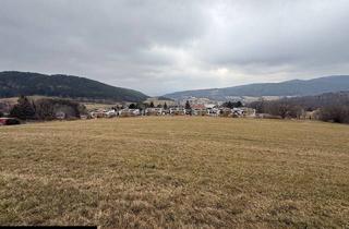 Grundstück zu kaufen in Oberhöflein, 2732 Oberhöflein, Mögliches Bauerwartungsland!