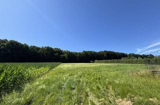 Grundstück zu kaufen in 8350 Fehring, Traumhaftes Baugrundstück in sonniger Lage - flexibel teilbar von ca. 900 m² bis 4.500 m²