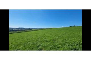 Grundstück zu kaufen in Bodendorf, 4223 Bodendorf, Traumimmobilie mit Fernblick und Grünblick in Bodendorf, OÖ - 903m² Landwirtschaft!