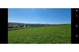 Grundstück zu kaufen in Bodendorf, 4223 Bodendorf, Traumimmobilie mit Fernblick und Grünblick in Bodendorf, OÖ - 812m² Landwirtschaft!