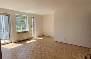 Wohnung mieten in Zibermayrstraße 29b, 4020 Linz, 1-Raum-Wohnung mit Balkon in Oed/Bindermichl! Ab sofort zu beziehen!