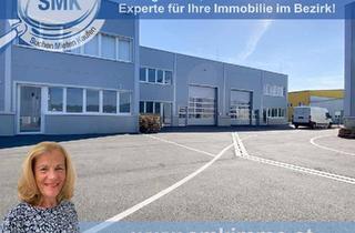 Büro zu mieten in 2104 Spillern, ENTSPANNTES ARBEITEN IN ANGENEHMER UMGEBUNG!