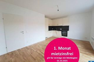 Wohnung mieten in Schwarzspanierstraße 16, 1090 Wien, 3 Zimmerwohnung mit Terrasse Nähe Votivkirche - Schottentor