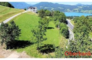 Grundstück zu kaufen in 4853 Steinbach am Attersee, LEBEN AM ATTERSEE IN WUNDERSCHÖNER NATUR
