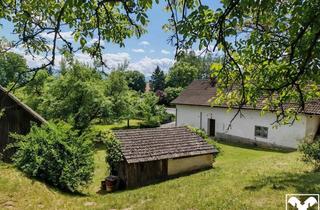 Grundstück zu kaufen in 9064 Deinsdorf, Großzügiges Grundstück mit Altgebäude, Baum- und Pflanzenbestand in der Gemeinde Magdalensberg