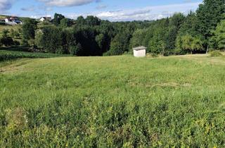 Grundstück zu kaufen in 8291 Burgauberg, Sonniges Grundstück mit Wiese und Wald in Ruhelage in der Thermenregion!
