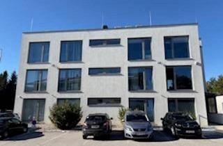 Gewerbeimmobilie kaufen in Hochstrass 592, 3033 Klausen-Leopoldsdorf, Moderne Büroliegenschaft mit Lagerhalle