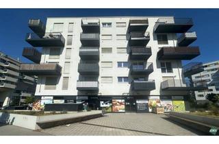 Büro zu mieten in Miriam-Makeba-Gasse, 1220 Wien, Moderne Gewerbefläche mit hoher Sichtbarkeit und flexibler Nutzung