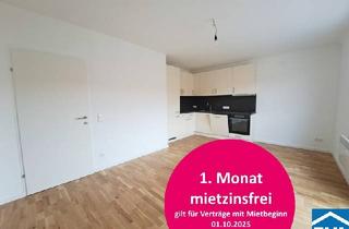 Wohnung mieten in Schwarzspanierstraße, 1090 Wien, 3 Zimmerwohnung mit Terrasse Nähe Votivkirche - Schottentor