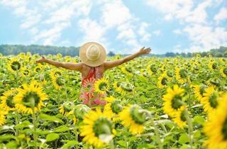 Wohnung kaufen in 8402 Werndorf, HONORARFREI **Exklusives Wohnen ** Erstbezug** !!nur 15min nach Graz!! ** Einziehen & das Leben genießen **