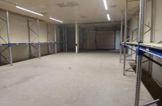 Lager mieten in Wirtschaftspark 14, 9130 Poggersdorf, Halle mit Lagerfläche, Büro & WC (239 m²) im DPB Business Park, Poggersdorf
