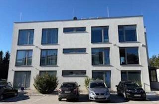 Gewerbeimmobilie kaufen in Hochstrass 592, 3033 Klausen-Leopoldsdorf, Moderne Büroliegenschaft mit Lagerhalle