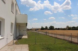 Wohnung mieten in 2063 Zwingendorf, Gartenwohnung mit 3 Zimmern in Zwingendorf