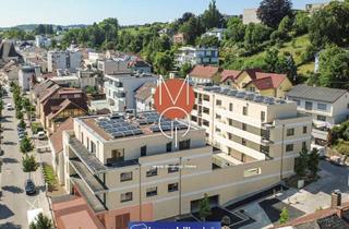 Gewerbeimmobilie kaufen in Doktor-Müllner-Platz 15, 4710 Grieskirchen, Neubau-Gewerbe mit großer Terrasse – Perfekt für Gastro & Café