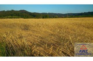 Gewerbeimmobilie kaufen in 4451 Garsten, Schöner Acker mit ca. 7 Hektar Größe!