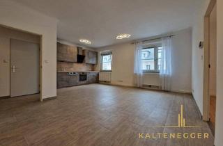 Wohnung mieten in 2320 Schwechat, Ideal aufgeteilte 2-Zimmer-Wohnung nahe dem Hauptplatz in Schwechat