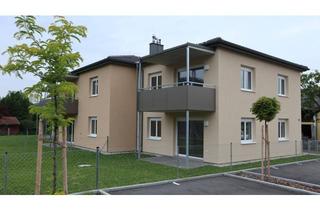 Wohnung mieten in Erlaufgasse 2/5, 3262 Wang, Geförderte Miete mit Kaufoption |Top 2/5 | 1. OG mit Balkon.