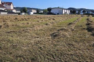  in Parz. 159/8, 3364 Neuhofen an der Ybbs, Gewerbegrundstück 2700 m² teilbar ab 200 m² in Neuhofen