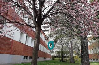 Wohnung kaufen in Huttengasse 13, 1140 Wien, Hübsche, praktische Singlewohnung, direkt an U3 Kendlerstraße