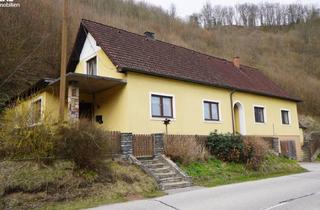 Haus kaufen in Krumau Gföhl Krems, 3544 Idolsberg, Großzügiges Wohnhaus mit Garten und Schuppen