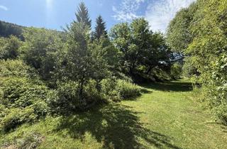 Haus kaufen in 3543 Krumau am Kamp, Kampfluss Residenz - Vision Nationalpark Kampwald