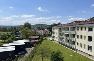 Wohnung mieten in 2824 Schiltern, 2-Zimmer - Mietwohnung in ruhiger Lage - Loggia - toller Ausblick