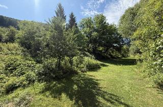 Haus kaufen in 3543 Krumau am Kamp, Kampfluss Residenz - Vision Kampwald