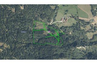 Gewerbeimmobilie kaufen in 9545 Laufenberg, WALDGRUNDSTÜCKE AM LAUFENBERG ZU VERKAUFEN