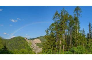 Einfamilienhaus kaufen in Oberhöhe, 3172 Ramsau, Grünruhelage mit traumhaftem Ausblick